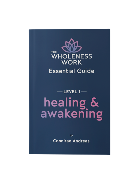 Coming Home to Who You Are, the Wholeness Work book by Connirae Andreas